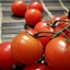 Tomato - Determinated -